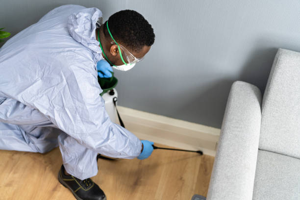 Best Fumigation Services  in Bloomington, TX